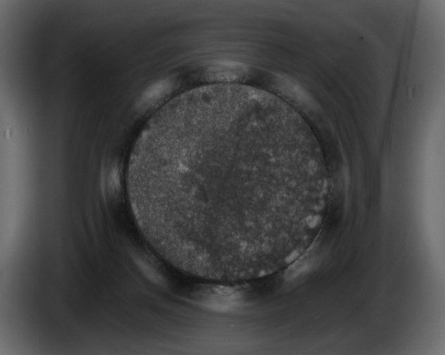 X0000084540166200703231722