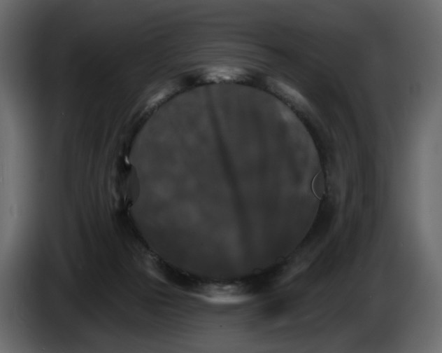 X0000084540169200703231722