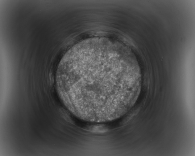 X0000084540173200703231722