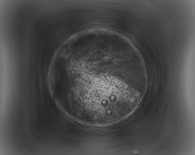 X0000084540175200703231722