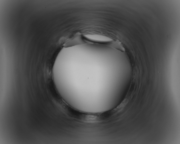 X0000084540176200703231722