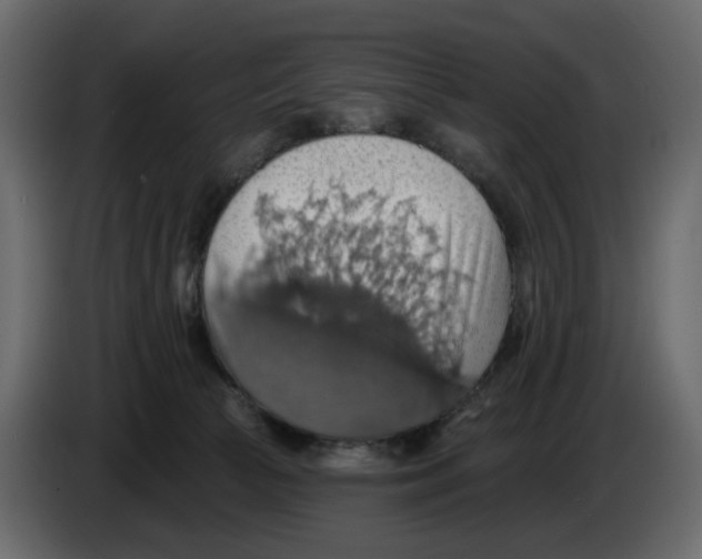 X0000084540177200703231722