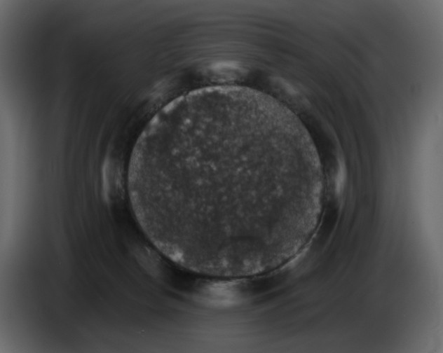 X0000084540178200703231722