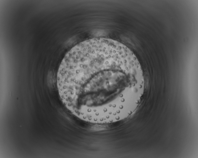 X0000084540179200703231722