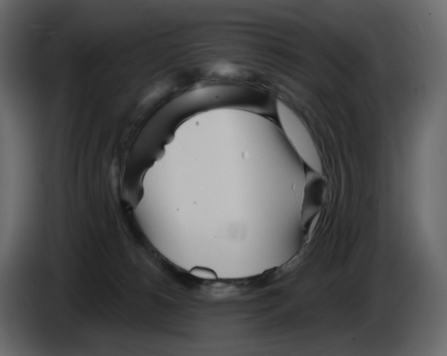 X0000084540180200703231722