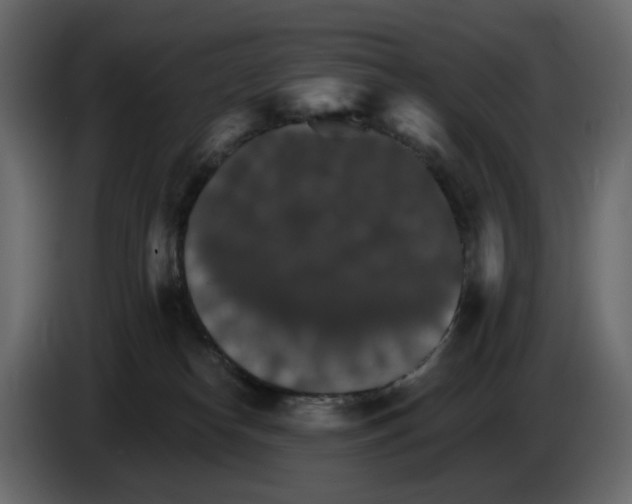 X0000084540182200703231722