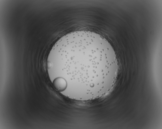 X0000084540187200703231722