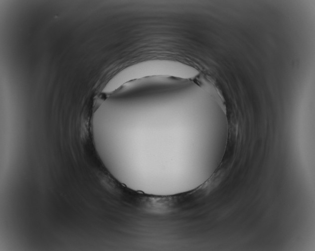 X0000084540188200703231722