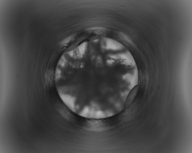 X0000084540189200703231722