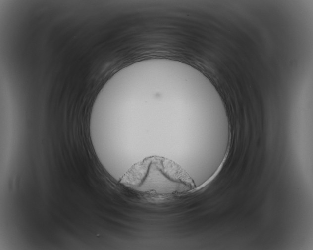 X0000084540190200703231722