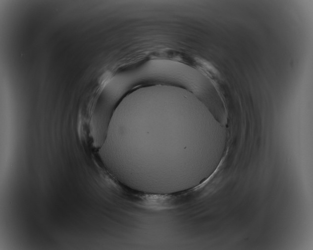 X0000084540192200703231722