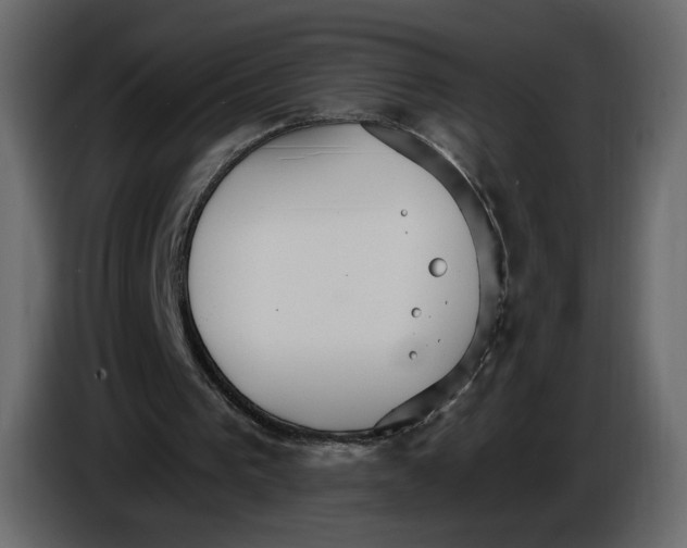 X0000084540193200703231722