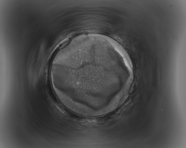 X0000084540194200703231722