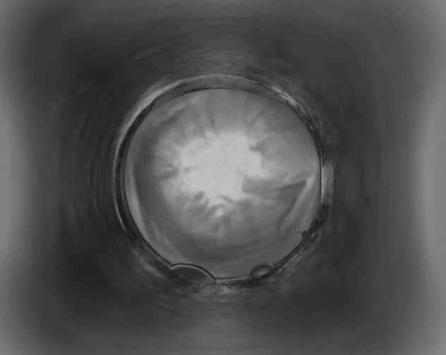 X0000084540195200703231722