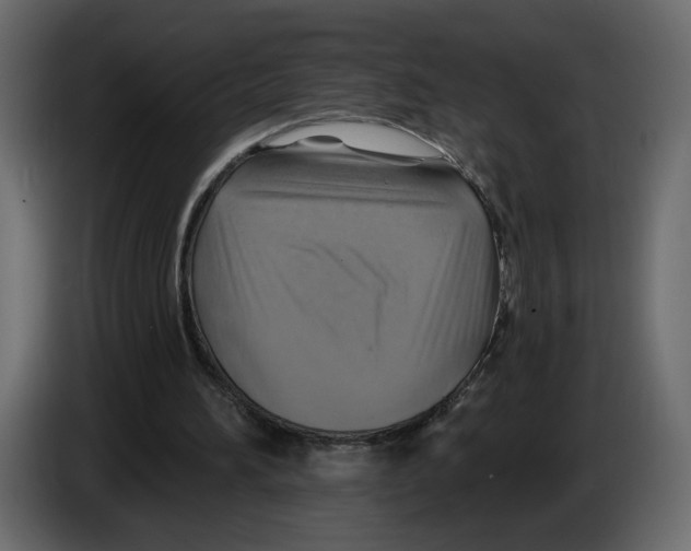 X0000084540196200703231722