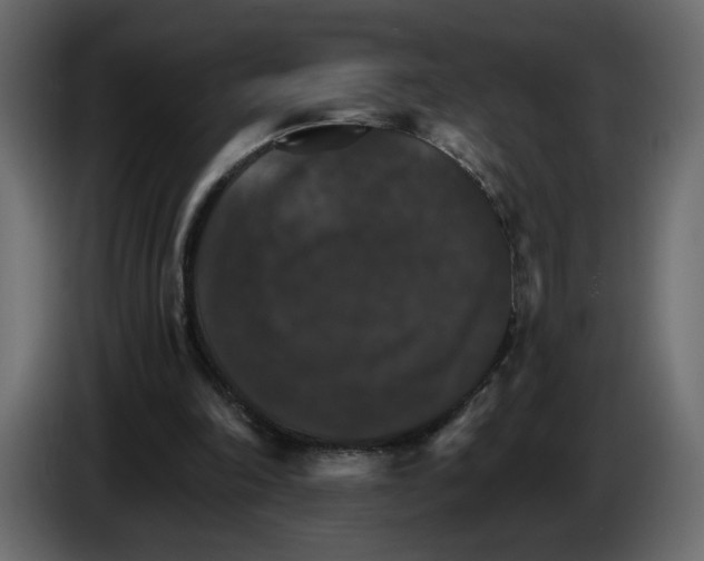 X0000084540198200703231722