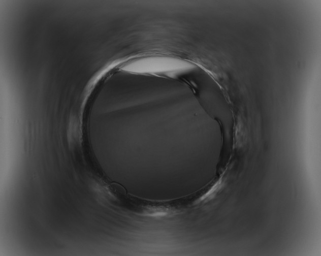 X0000084540200200703231722