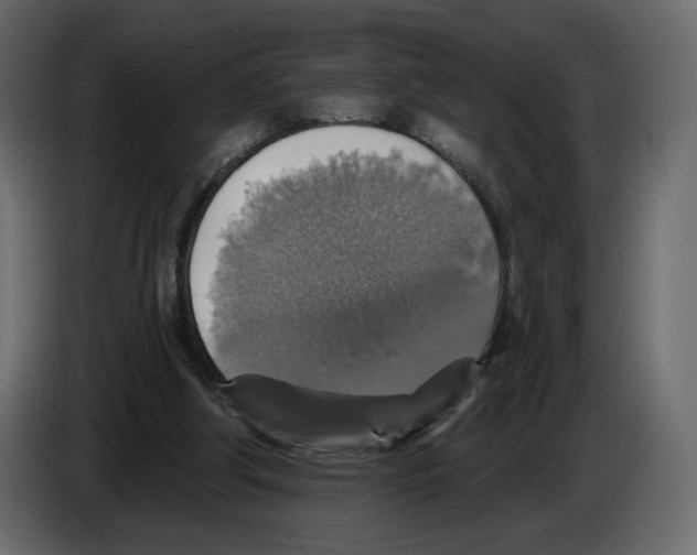 X0000084540202200703231722