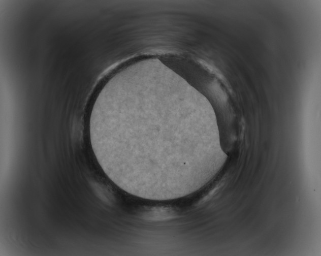 X0000084540204200703231721