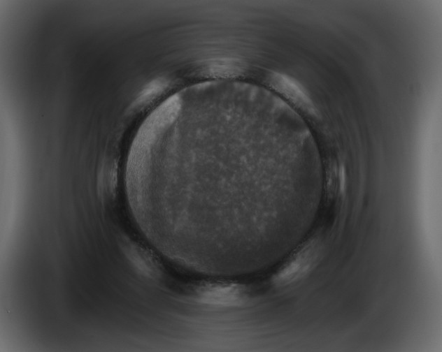 X0000084540206200703231721