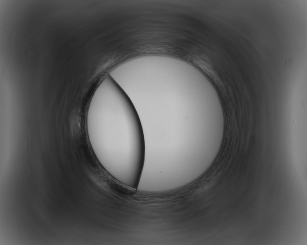 X0000084540207200703231721