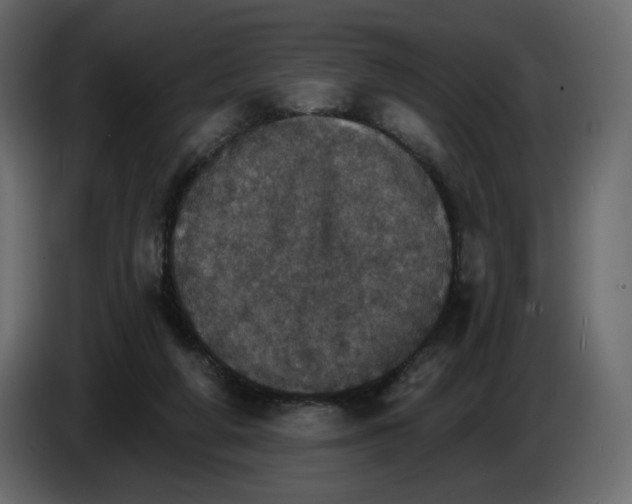 X0000084540210200703231721