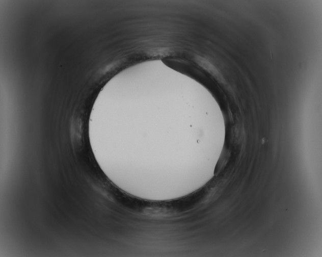 X0000084540211200703231721