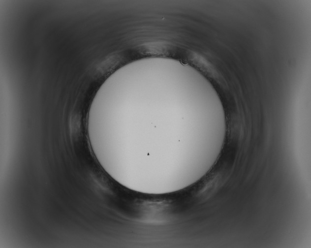 X0000084540213200703231721