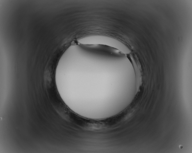 X0000084540215200703231721