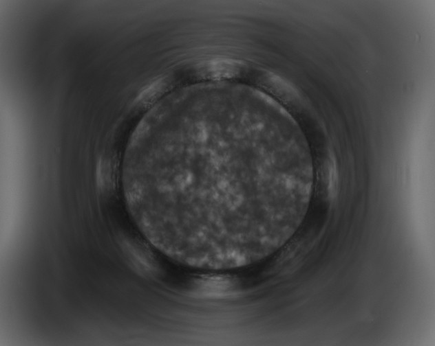 X0000084540218200703231721