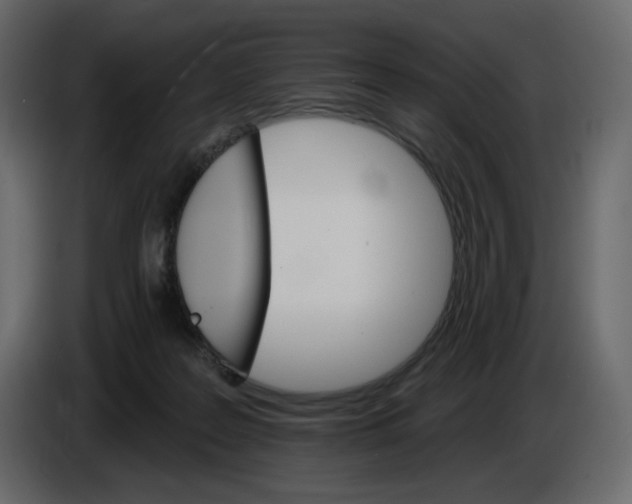 X0000084540219200703231721