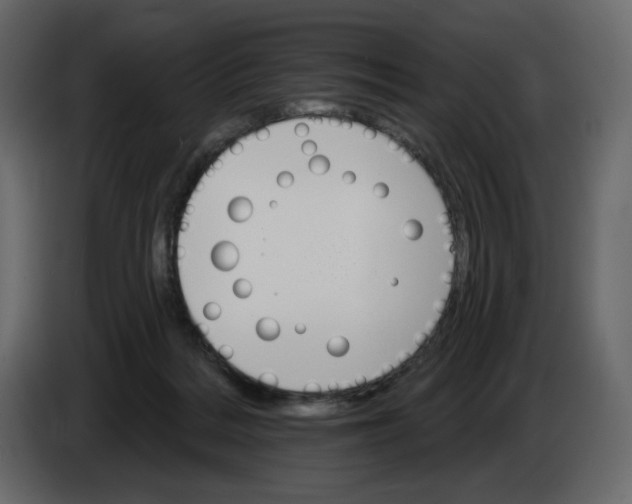 X0000084540220200703231721