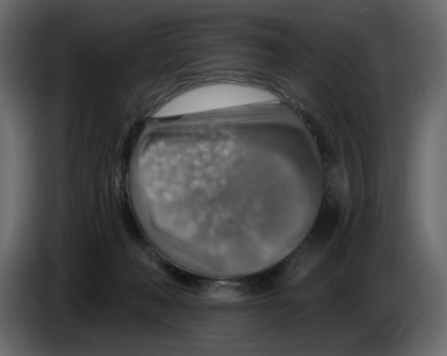 X0000084540222200703231721