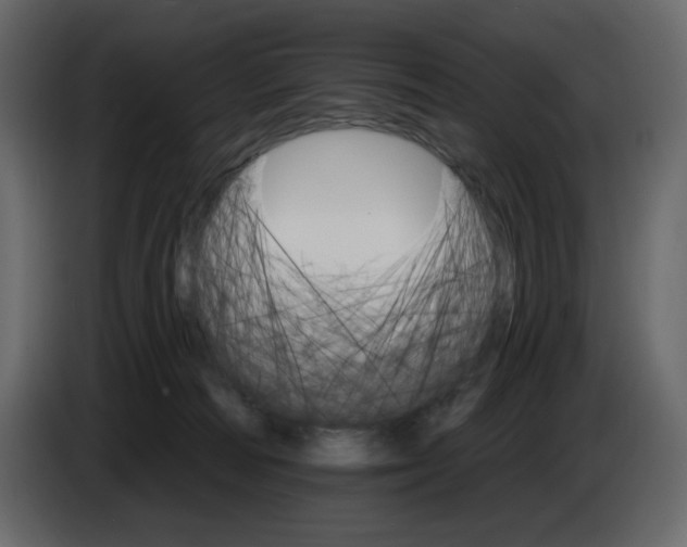 X0000084540226200703231721