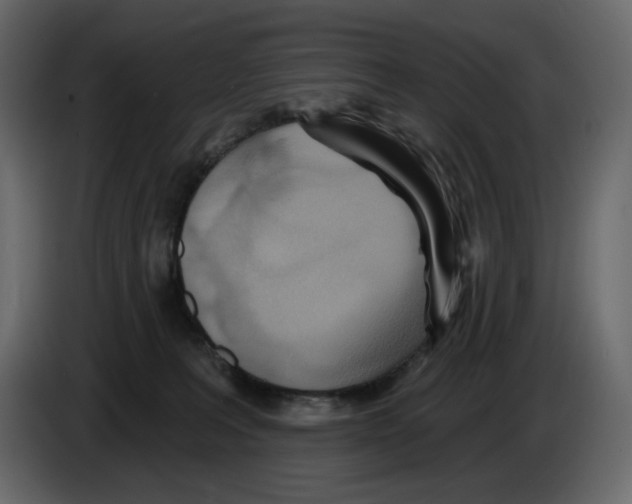 X0000084540227200703231721