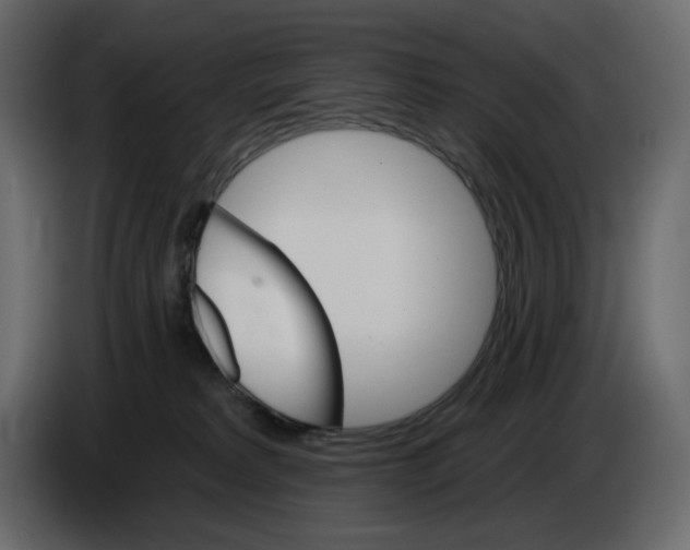 X0000084540229200703231721