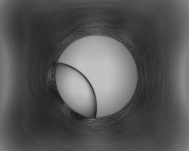 X0000084540233200703231721