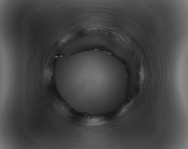 X0000084540235200703231721