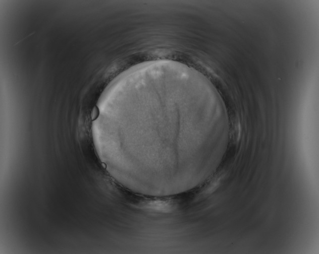 X0000084540236200703231721