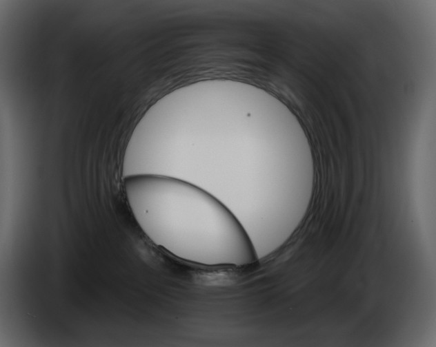 X0000084540237200703231721