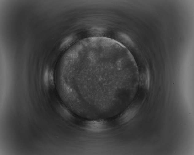 X0000084540238200703231721