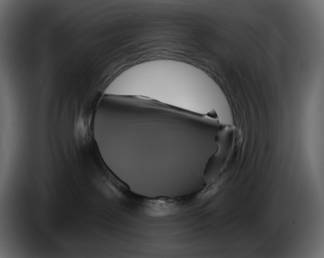 X0000084540239200703231721