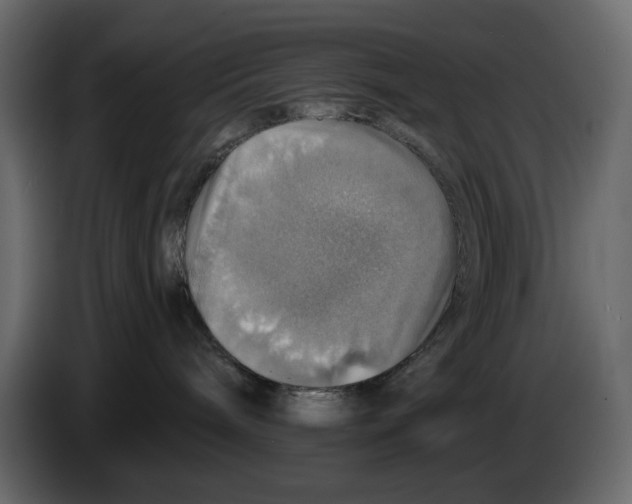 X0000084540240200703231721