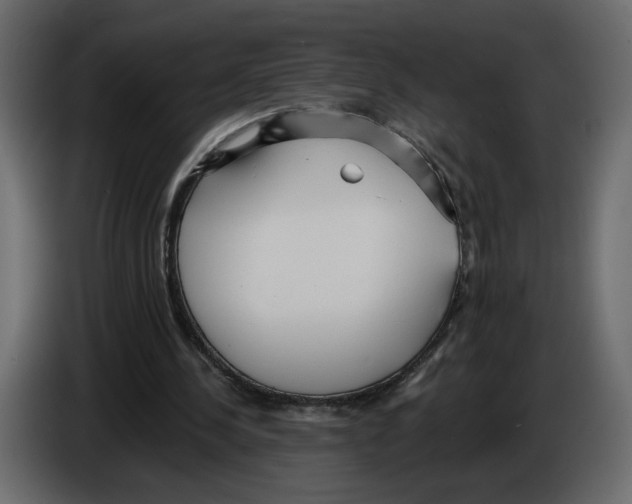 X0000084540244200703231720