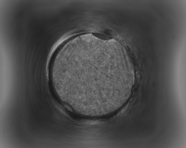 X0000084540246200703231720