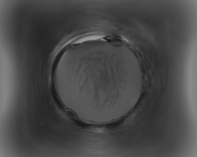 X0000084540247200703231720