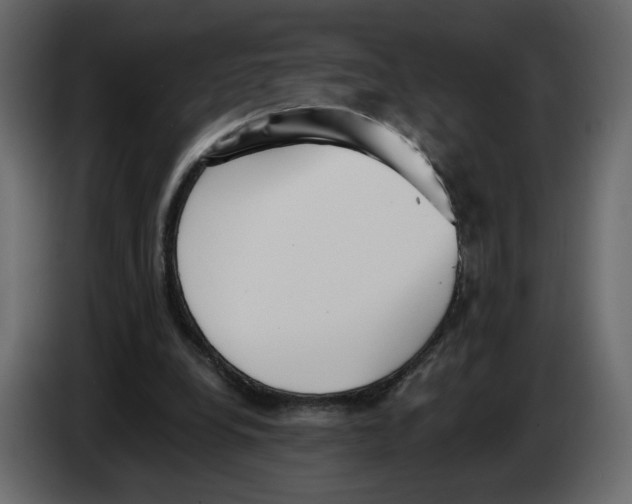 X0000084540248200703231720