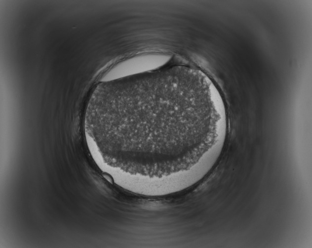 X0000084540249200703231720