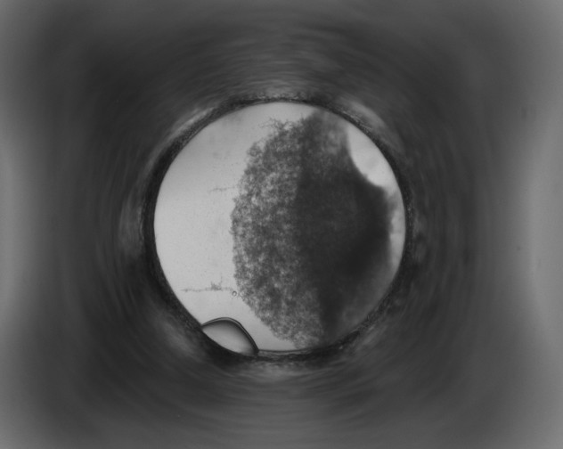 X0000084540250200703231720