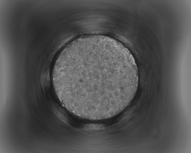 X0000084540251200703231720